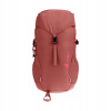 Deuter Climber 22l redwood hibiscus