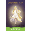 E-kniha Čarodejka Illa - Monika Grilka