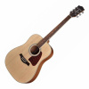 Akustická gitara Richwood NT Dreadnought