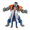 Hasbro Akčné figúrky Avengers Marvel Legends - Šedý Hulk a Dr. Bruce Banner