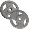Physionics súprava kotúčov 2 x 5 kg, 31 mm