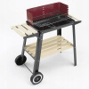 LANDMANN Chef Gril na drevené uhlie 49 x 27 cm (LANDMANN Chef Gril na drevené uhlie 49 x 27 cm)