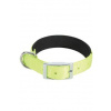 Obojok pes SOFT NYLON zelený 20mm / 45cm Zolux