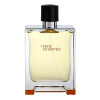 Hermes Terre D'Hermes 100 ml EDT MAN TESTER