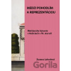 Medzi pohodlím a reprezentáciou. Meštianske bývanie v Košiciach v 19. storočí - Zuzana Labudová