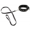 Vegan Fetish Collar and Leash