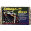 Lucky Reptile Sphagnum Moss 100 g 100g/5 l