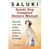 Saluki. Saluki Dog Complete Owners Manual. Saluki book for care, costs, feeding, grooming, health and training.