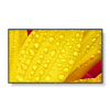 55'' LED NEC M551-2,3840x2160, 24/7, 500cd