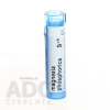 Magnesia Phosphorica gra.1 x 4 g 9CH