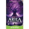 E-kniha Arila: Hranice času - Radek Starý