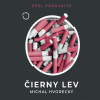 Čierny lev - Michal Hvorecký