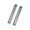 BITUBO Fork springs kit BITUBO K=0.60 + 2 Lt. Oil