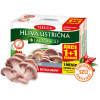 Terezia Company Hliva Ustricová + lactobacily 60+60 kapsúl