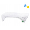 Deka Brotex Aloe Vera 140 x 200 cm celoročná 850 g
