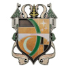 FaNaTtik Limitovaná edícia medailónu Dungeons & Dragons Silverymoon Insignia