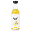 Zázvorový shot 50ml