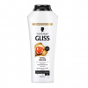 Schwarzkopf Gliss Kur Kur Total Repair 19 šampón pre suché a poškodené vlasy 250 ml