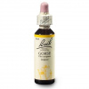 Dr. Bach Esence Gorse 20 ml