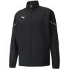 Puma teamRISE Sideline M 657326 03