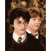 ZUTY Maľovanie podľa čísel - HARRY POTTER A RON WEASLY VIANOCE Rámovanie: vypnuté plátno na rám, Rozmer: 40x50 cm