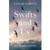 Swifts and Us