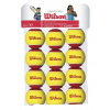 Wilson STARTER RED 12 ks