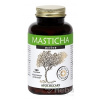 MASTICHA ACTIVE - Apothecary cps 1x100 ks