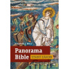 Panorama Bible - Starý zákon - Stephen J. Binz