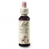 Dr. Bach Esence Heather 20 ml