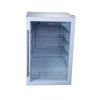 GUZZANTI GZ 117A