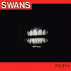 Filth Swans Vinyl