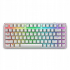 Dell Alienware Pro Wireless Gaming Keyboard 545-BBFR