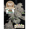 Fair Seeds - Dolato 10 ks - Semená neobsahujú THC