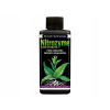 Organický stimulátor GT Concentrate NITROZYME 100 (Organický stimulátor GT Concentrate NITROZYME 100)
