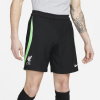 Nike Liverpool Fc Strike Elite Men'S Dri-Fit Adv Knit Soccer Shorts Football Short Mens Black/Green XL