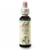 Dr. Bach Esence Holly 20 ml