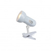 Globo 5496