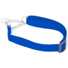 Obojok nylon polosťahovací Modrá DUVO+ 2,5x45-70cm 2,5x45-70cm Modrá