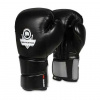 Boxerské rukavice DBX BUSHIDO B-2v9