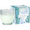 BISPOL-AURA Vonná sviečka Vanilla Musk - sklo 100g