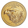 United States Mint Zlatá minca American Eagle 33,93 g