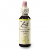 Dr. Bach Esence Honeysuckle 20 ml