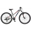 GT STOMPER 24