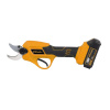 Riwall PRO Nůžky na větve akumulátorové RAP 3020i SET AC42F2301012B