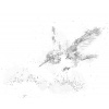 ZUTY Bodkovanie - MAĽOVANÝ KOLIBRÍK A KVETY Rámovanie: vypnuté plátno na rám, Rozmer: 40x50 cm
