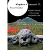 Napsáno v kameni II. - Vanická Hana