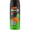 Axe Jungle Fresh deospray pro muže 150 ml