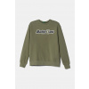 Detská bavlnená mikina United Colors of Benetton 3J68C10N2.G.Seasonal zelená 160
