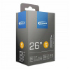 Schwalbe DV